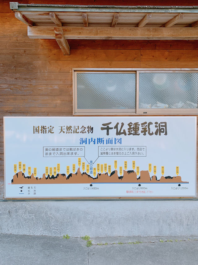 日本　大阪⇄北九州　弾丸フェリー旅