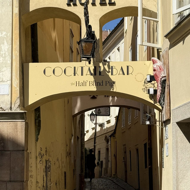 Bratislava: A Taste of Eastern Charm on the Danube! 🇸🇰🇷🇺