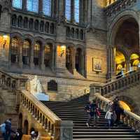 Don't Miss This Free Museum in London! 🦖🦋
