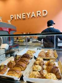 Pineyard Café — A Hidden Forest Dining Experience 