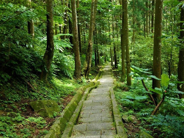 森林遊樂園區系列 PART5️⃣