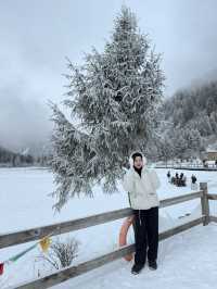 อุทยานต๋ากู่ Dagu