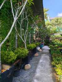 Unexpected Coffee Escape: Nature Meets Noms in Desaru