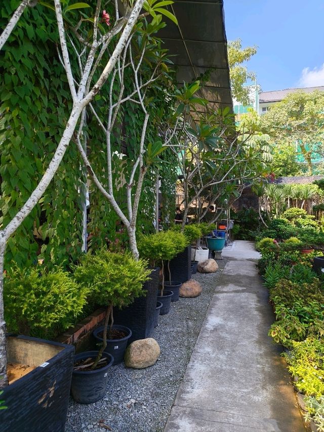 Unexpected Coffee Escape: Nature Meets Noms in Desaru
