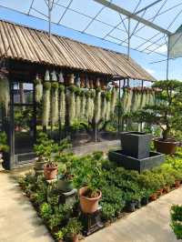 Hidden Green Spot in the City – Budget-Friendly Escape in Hong Kong
