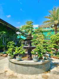 Hidden Green Spot in the City – Budget-Friendly Escape in Hong Kong