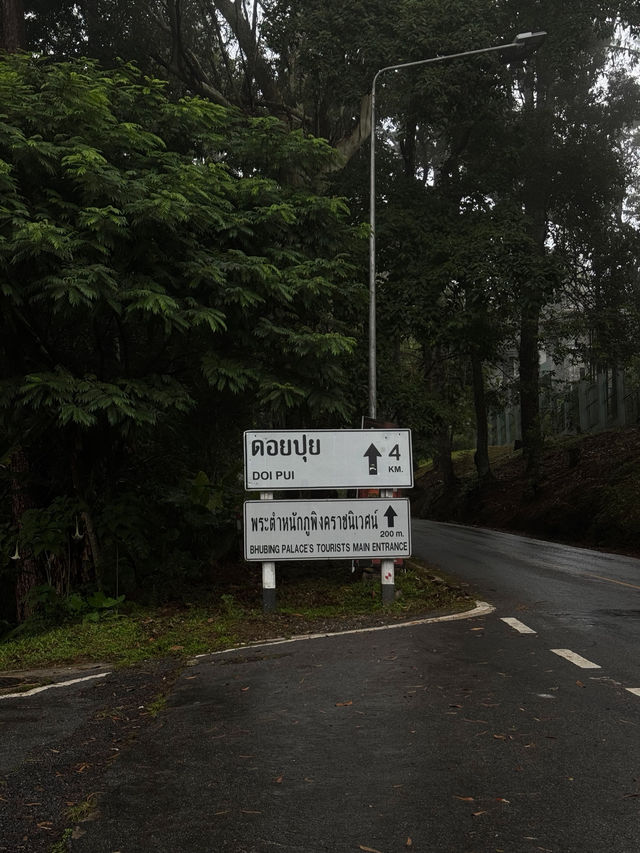 ขับรถเที่ยวดอยปุย จ.เชียงใหม่ ⛰️🌧️🌳🏍️