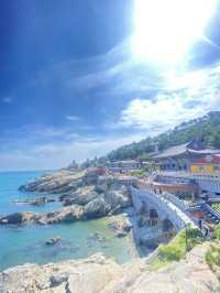 【ソウルだけじゃない！韓国・釜山の魅力🇰🇷】