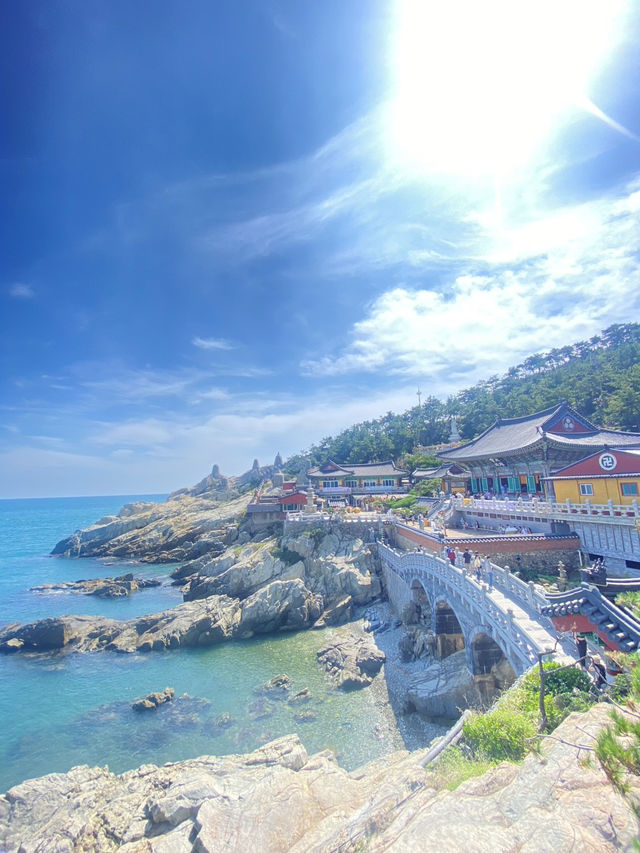 【ソウルだけじゃない！韓国・釜山の魅力🇰🇷】