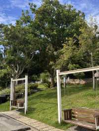 🍃 桃園大有梯田公園簡介