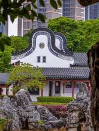 Waterfront Whispers – Lingnan Elegance Meets Lakeside Tranquility