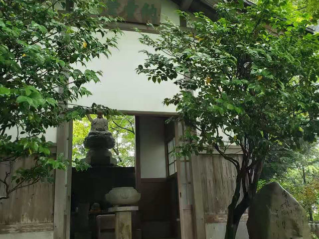 京都非常推薦😍繡球花瀑布、繡球花傘