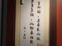 廣州粵韻之美✨穿越嶺南園林，走進粵劇藝術殿堂