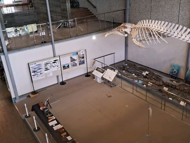 【山形】山形県立博物館で歴史を学びました！