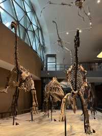 Shanghai Natural History Museum 🦁🦖🦕