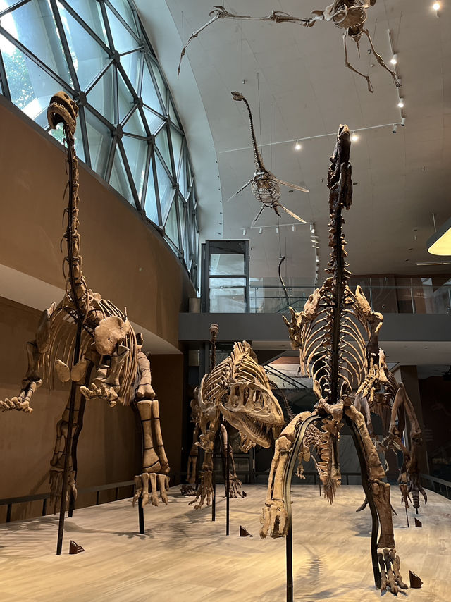 Shanghai Natural History Museum 🦁🦖🦕