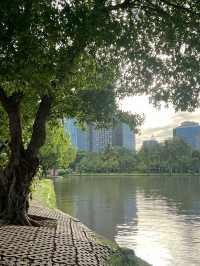 สวนจตุจักร