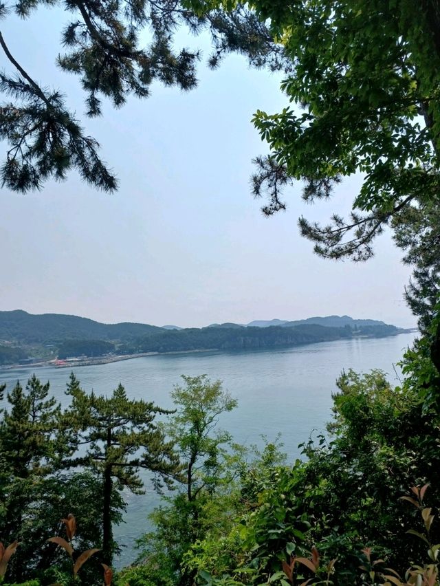 바닷물에 새겨진 공룡의 인상🦖