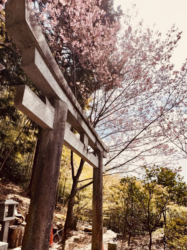⛩️✨ Fushimi Inari Taisha: Kyoto’s Iconic Thousand Torii Gates