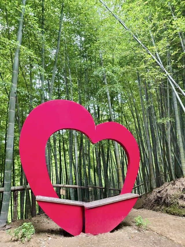 🎋🌊 Bamboo Forest at Geoje Island (거제 대나무 숲): A Serene Summer Escape