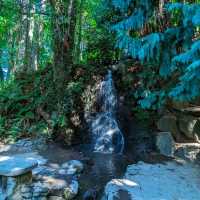 「Tumwater Falls」—静寂の中に響く滝の癒し