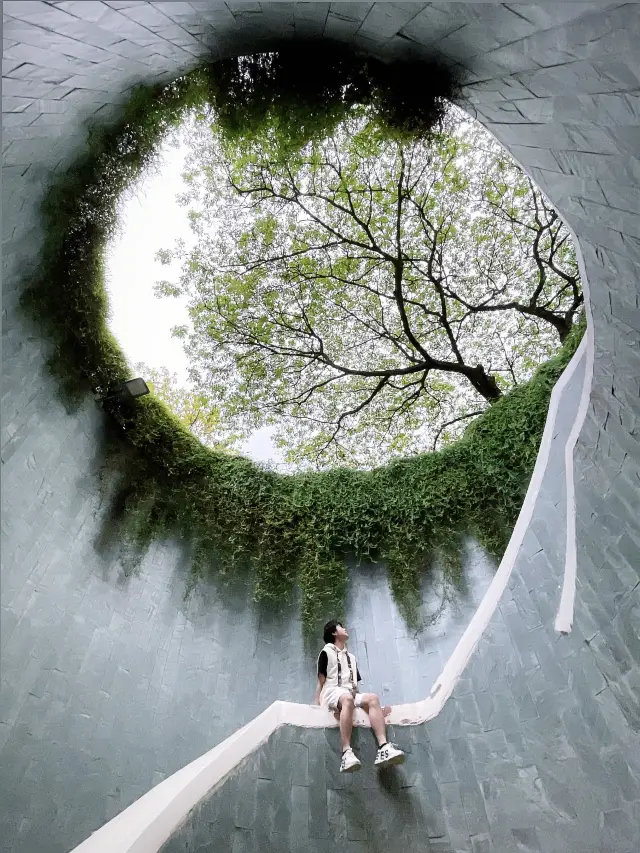 Singapore's Super Dreamy Tree Tunnel|Fort Canning "The Wizard of Oz" + Complete Guide to Nearby Park Routes!