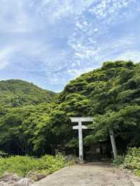 【海に続く神秘の鳥居⛩️阿古師神社で“祈りの絶景”に出会う】