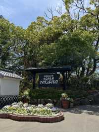 【福岡の隠れ楽園🌺】能古島でのんびり島時間を満喫しよう