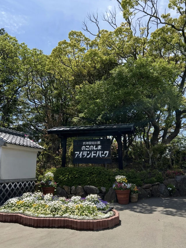 【福岡の隠れ楽園🌺】能古島でのんびり島時間を満喫しよう