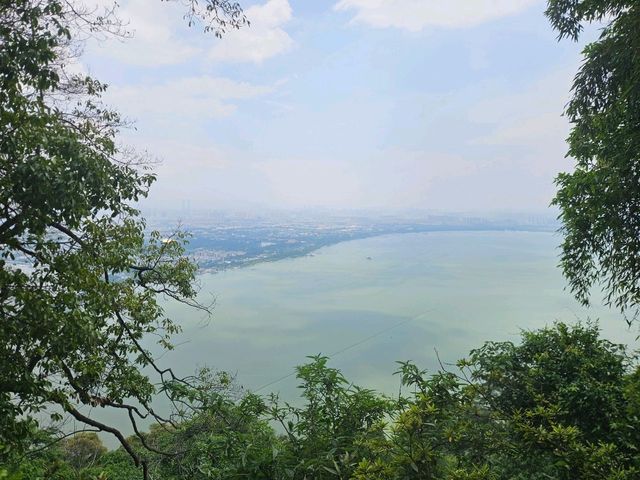 Half Day in Kunming