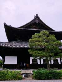 Peace Torii