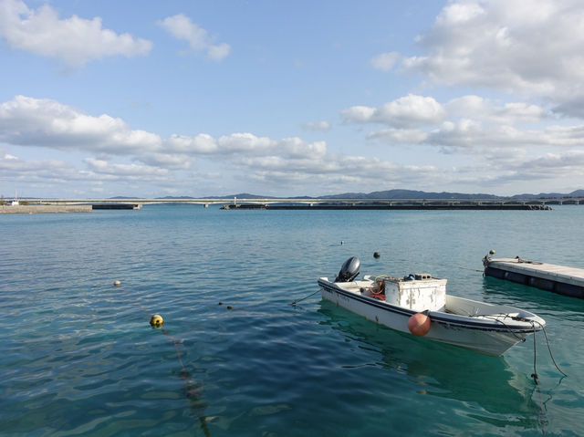 🍽️ Shirasa Shokudō – Local Delights with a View