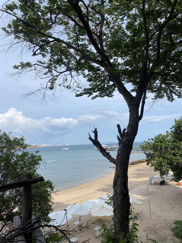 คาเฟ่ เห็นวิวทะเลที่เกาะล้าน 🌺🥤✨