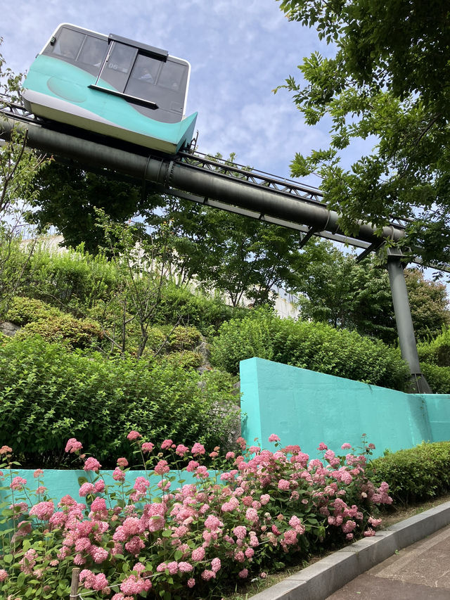 繡球花@長生浦鯨魚文化村