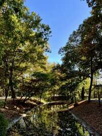 🏰【沃伊達奇城堡全攻略】城市公園裡的童話秘境｜匈牙利建築縮影 × 隱藏展廳 × 夜景拍攝秘笈
