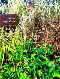 Calm and Serenity in Water wall court