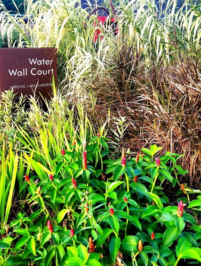 Calm and Serenity in Water wall court