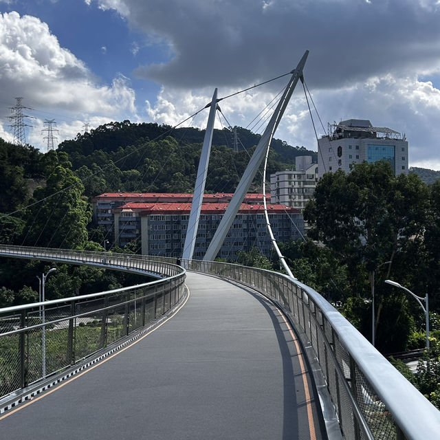  Harmony Bridge: Xiamen’s Skywalk Where Nature & Modern Design Embrace!