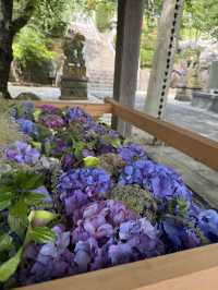 【北九州観光】月に2回入れ替わる花手水に癒される❁⃘