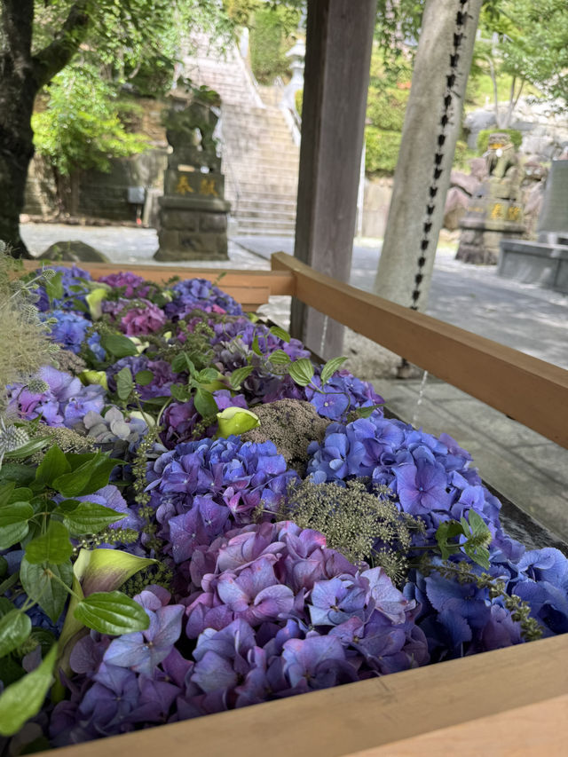 【北九州観光】月に2回入れ替わる花手水に癒される❁⃘
