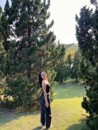 Good vibes ที่เชียงใหม่⛰️🌳💚 