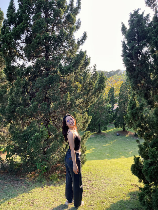 Good vibes ที่เชียงใหม่⛰️🌳💚 