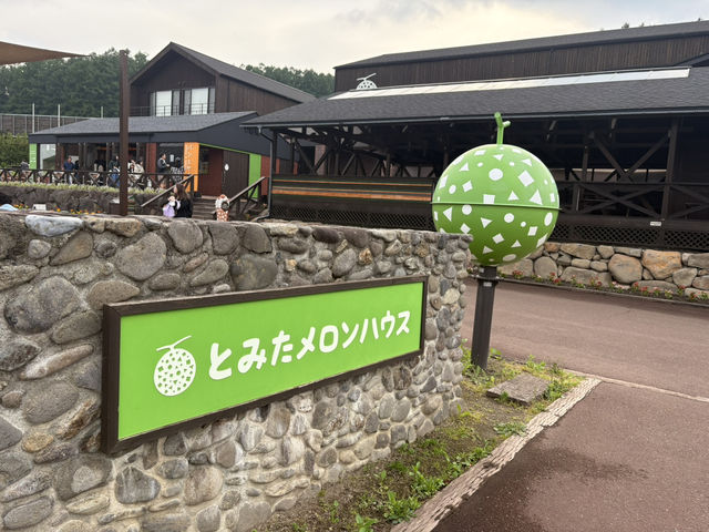 6月初的富田農場