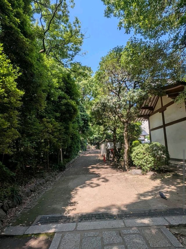 Nezu Shrine (Bunkyo)