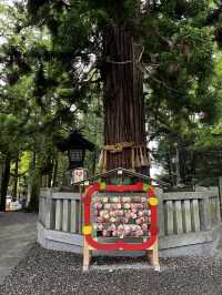 「神様って、本当にいるのかも…」そんな感覚に包まれる場所が、長野にはあります。