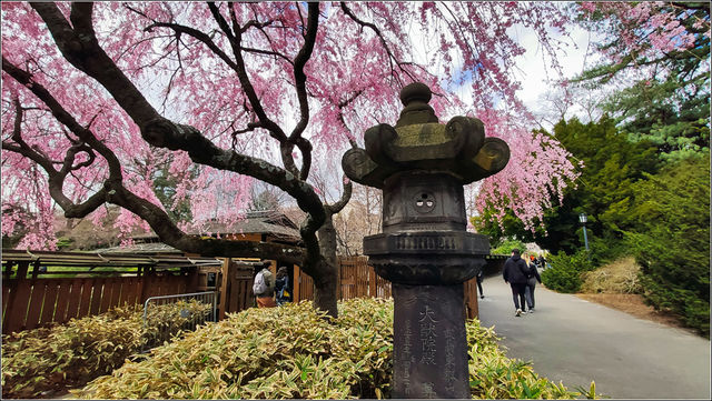 布魯克林植物園