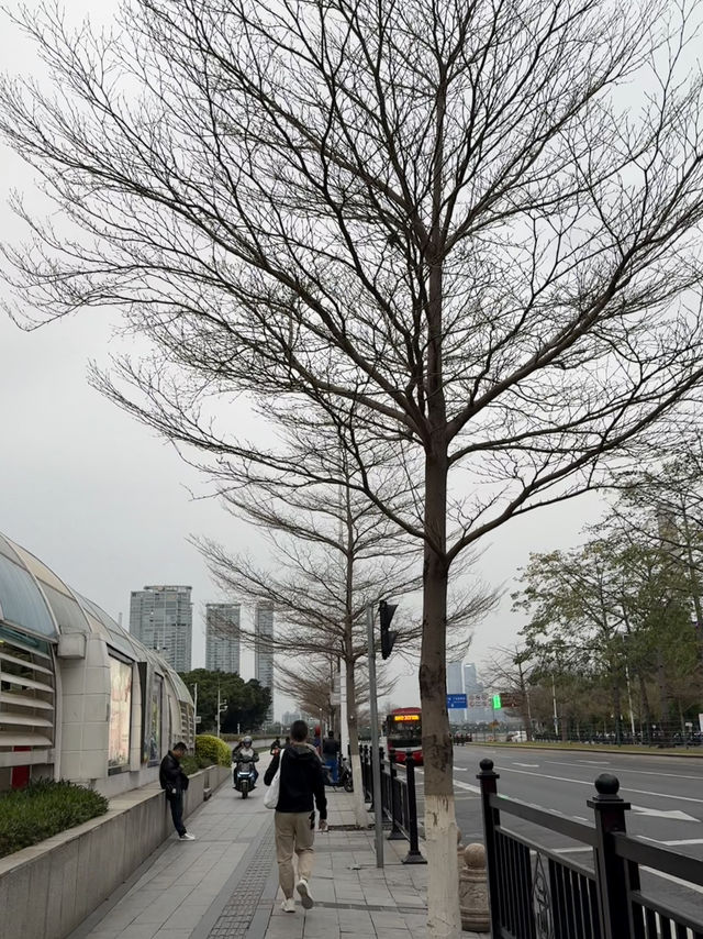 🍜 Guangzhou Eat & Shop Trip 🛍️