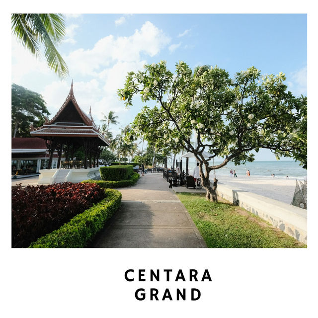 🏖️ รีสอร์ทหรูริมทะเล: Centara Grand Hua Hin