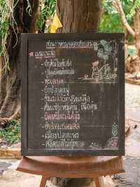 🌿 The Canal Cafe คลองสายลม 🍃 