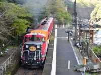 🚞用五感享受京都的夏日奢華